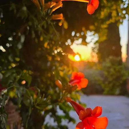 Il Balcone Sul Tramonto Ferienhaus